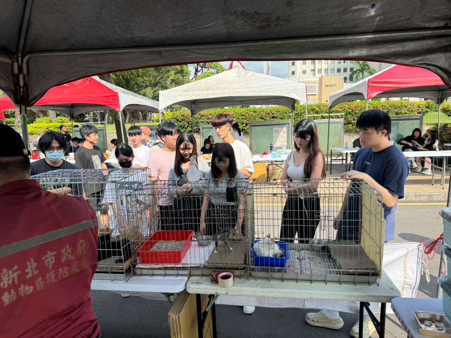 寵物認養會