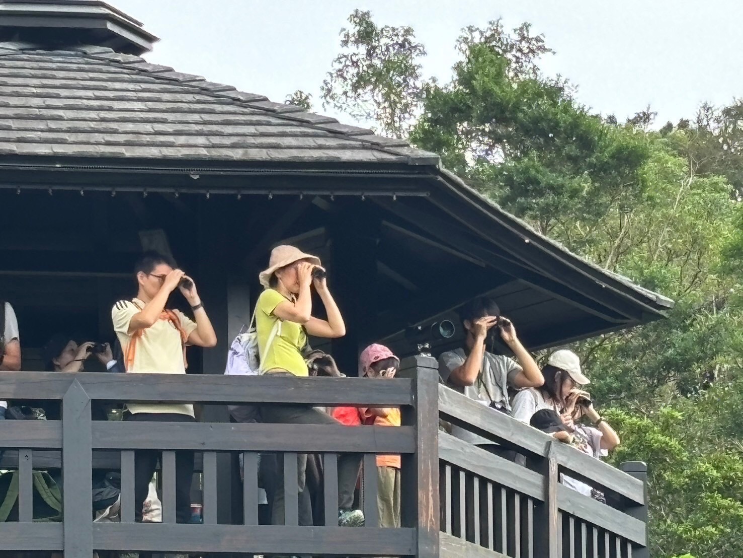 田寮洋小旅行教導民眾賞鳥
