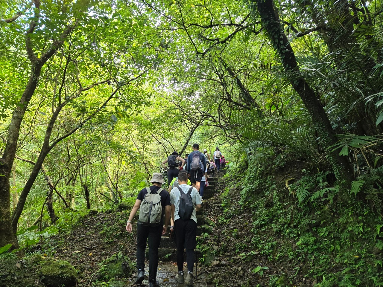 希望藉由微笑山線Party Day活動，促使民眾走入山林，形成“親山、親近、親密”的連結，並體會家山的美好