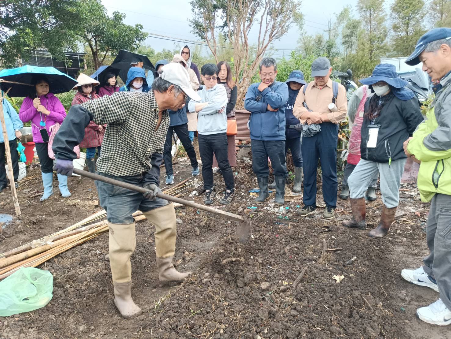 淡水市民農園由淡水區農會邀請講師到場講解有機栽培法