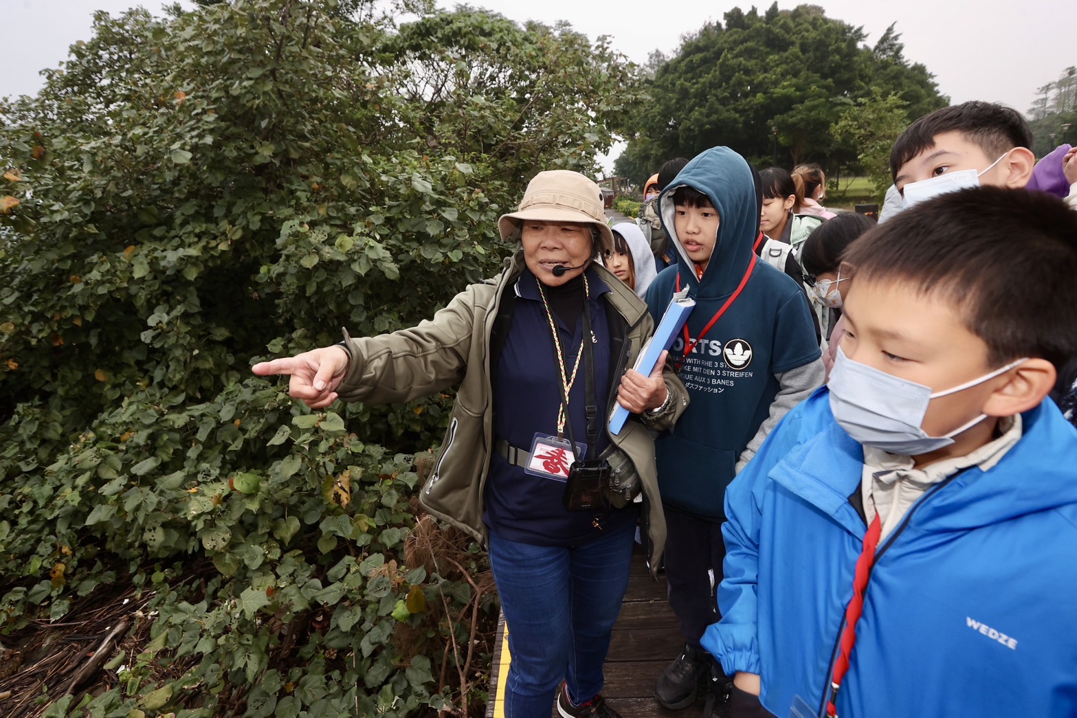  挖子尾自然保留區介紹紅樹林的碳儲存和吸收功能