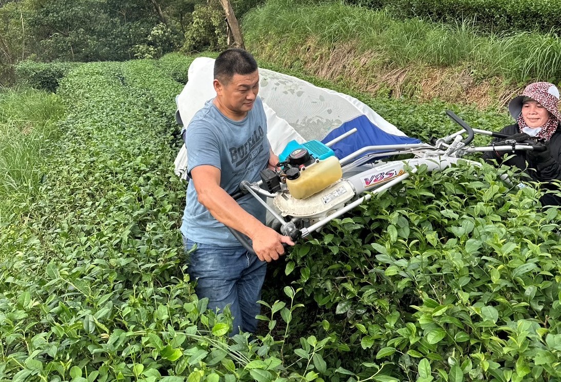  茶農蔡旭志日前獲選為農業部第34屆全國模範農民，為北部地區農糧組唯一當選者