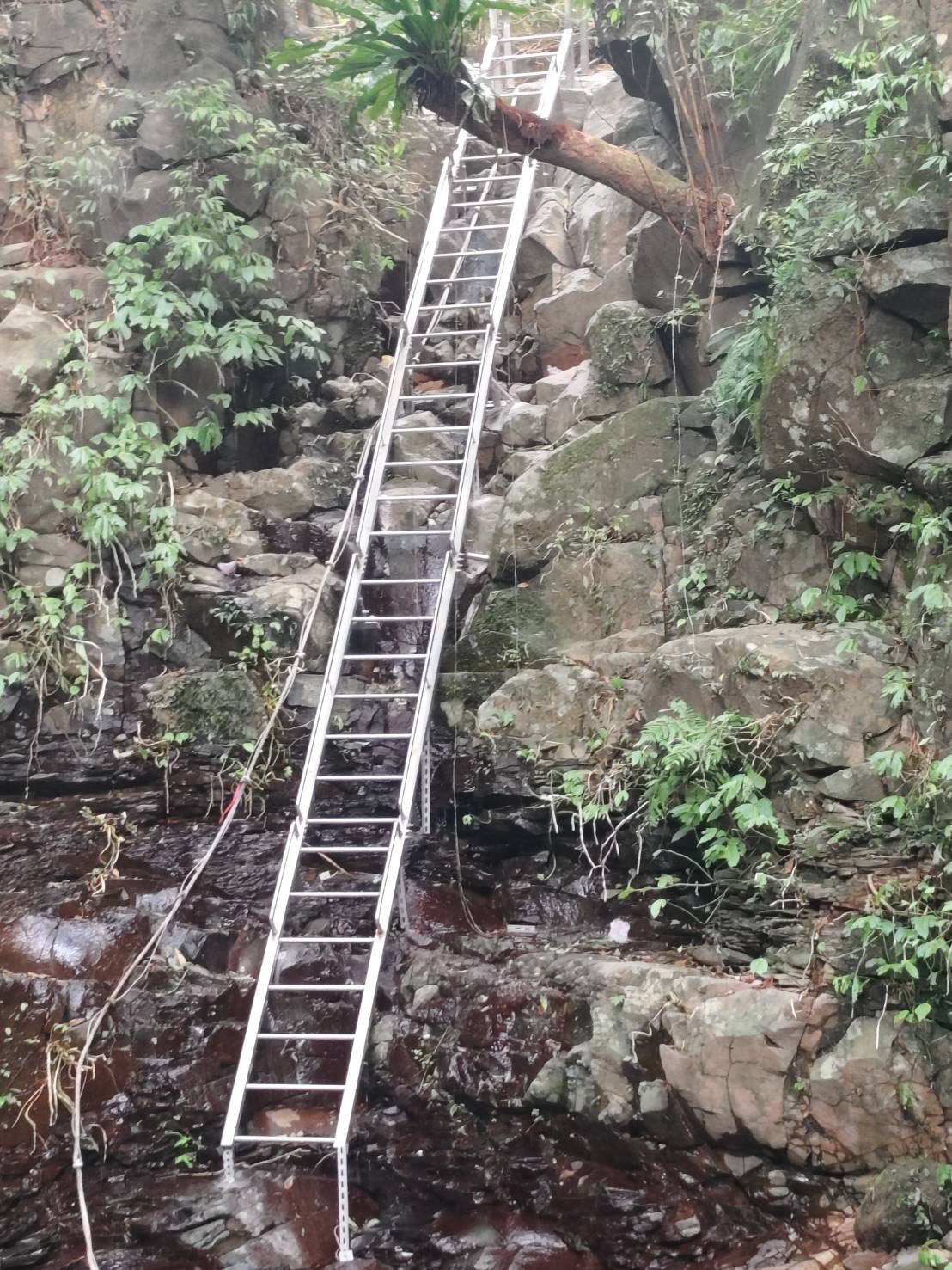  山壁設置維修爬梯，巡水員巡水更安全