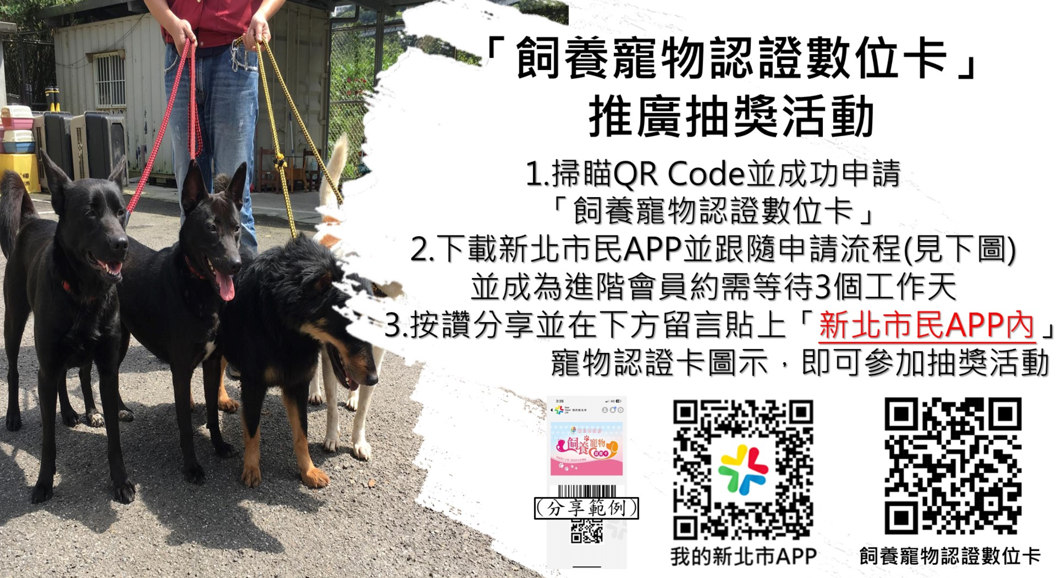新北飼養寵物數位認證卡辦理推廣抽獎活動。