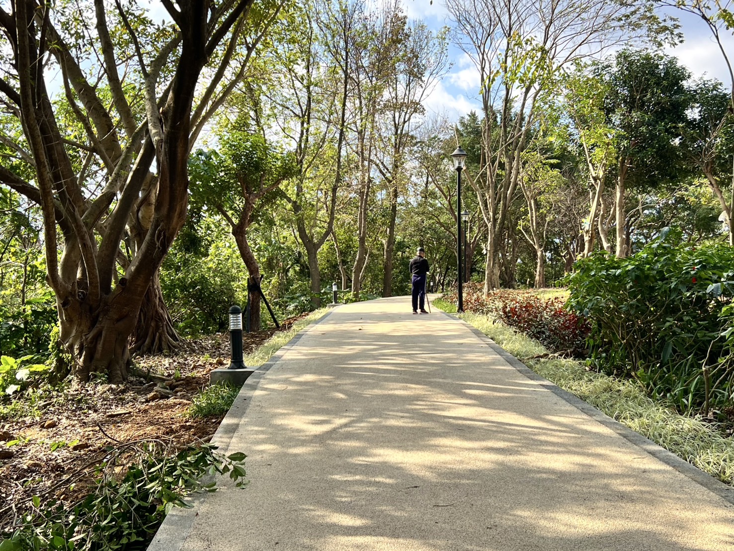 嘉穗公園經過景觀美化、步道整建、照明改善等優化後，大大提升在地居民、運動與休閒品質