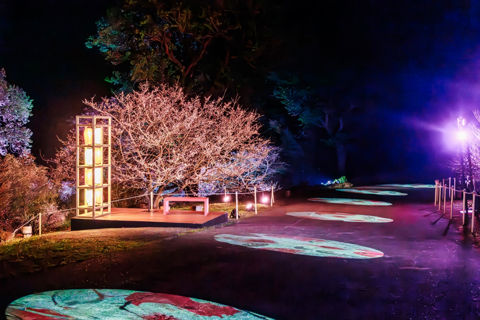 「2025花見櫻花季」與美國藝術家Sara Berrenson合作，透過藝術家鮮豔大膽的色彩與自然圖案的融合，打造「流動櫻蒔」沈浸式光影區