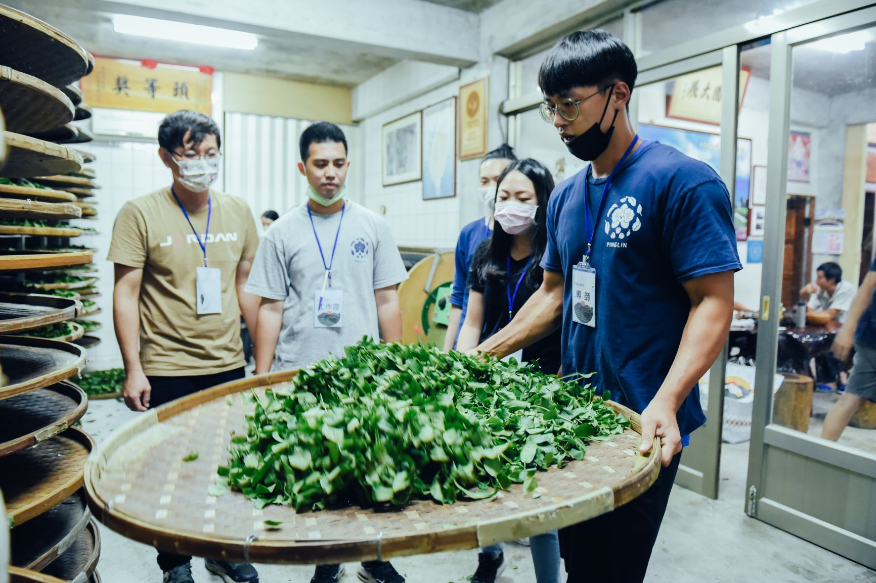 坪林青年茶業發展協會新任理事長陳威憲將坪林包種茶推廣至各年齡層民眾.