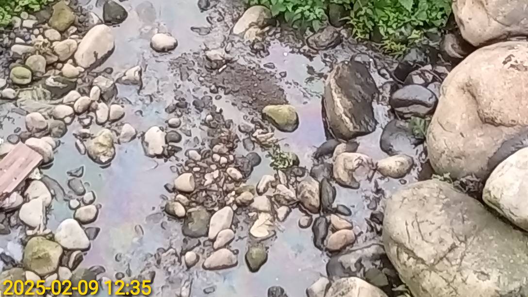 五股坑溪油污污染情形