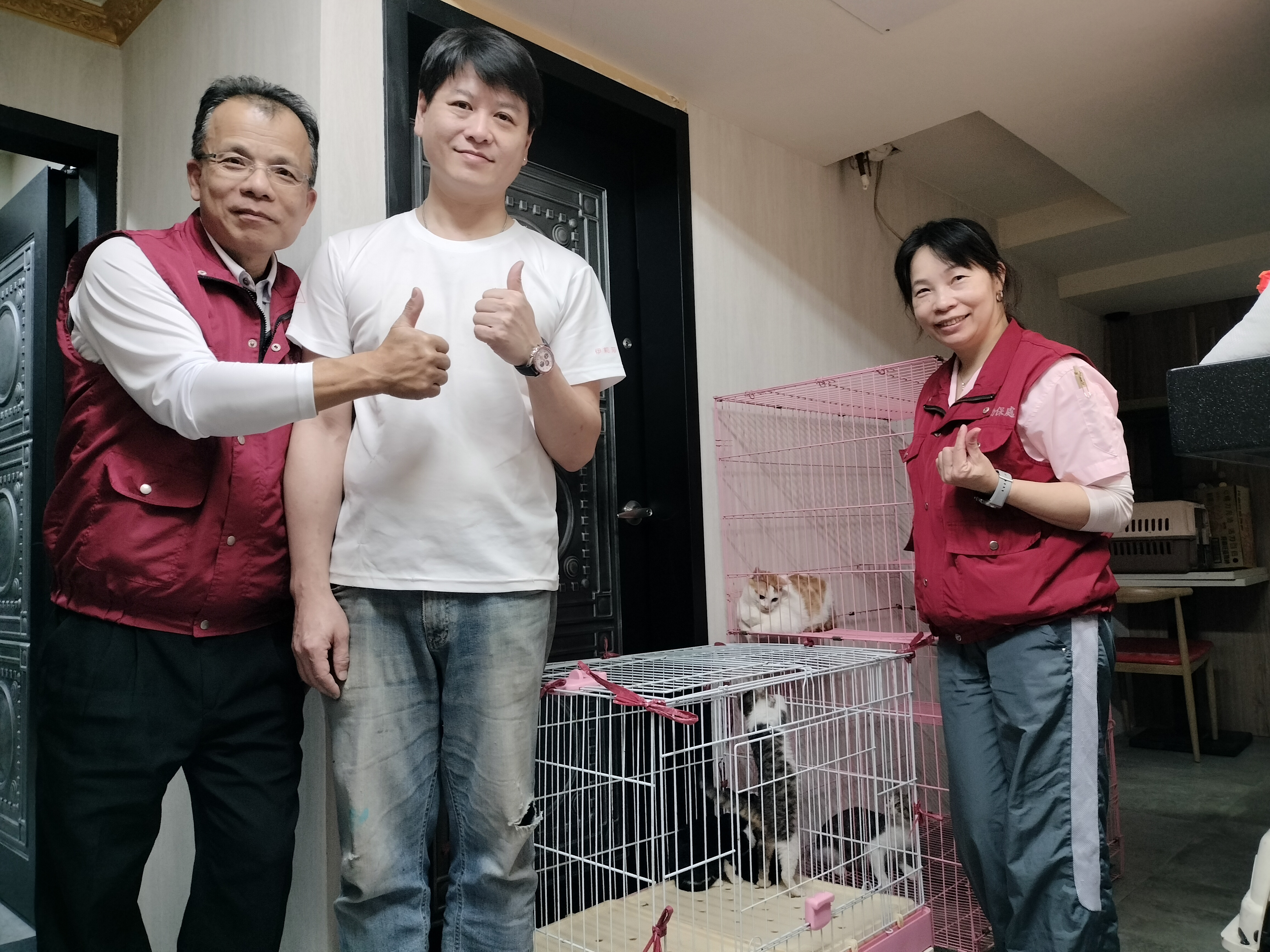 認養人林育楷先生認養「愛心印記」貓