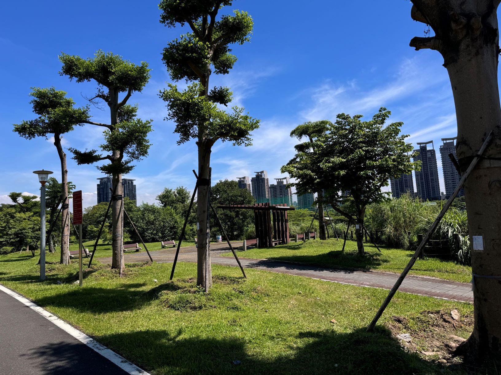  溪州公園現況多為喬木植栽綠地