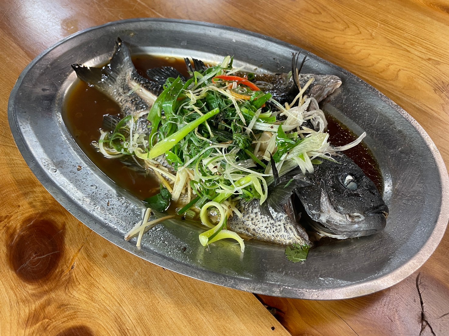 清蒸黑毛最能品嚐肉質獨有的藻香味
