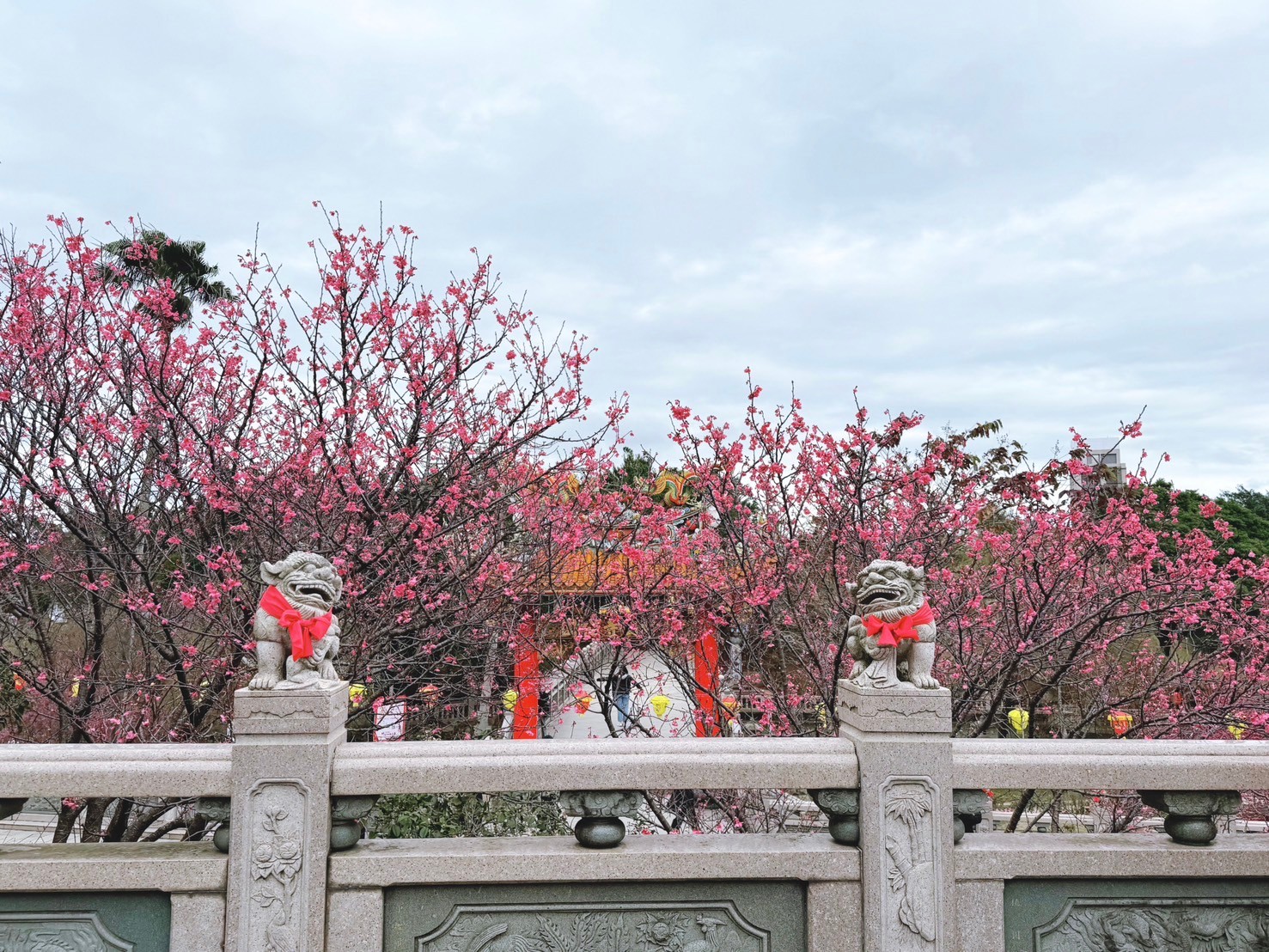 竹林山寺山櫻花盛綻，歡迎民眾前來捕捉這難得的春日美景