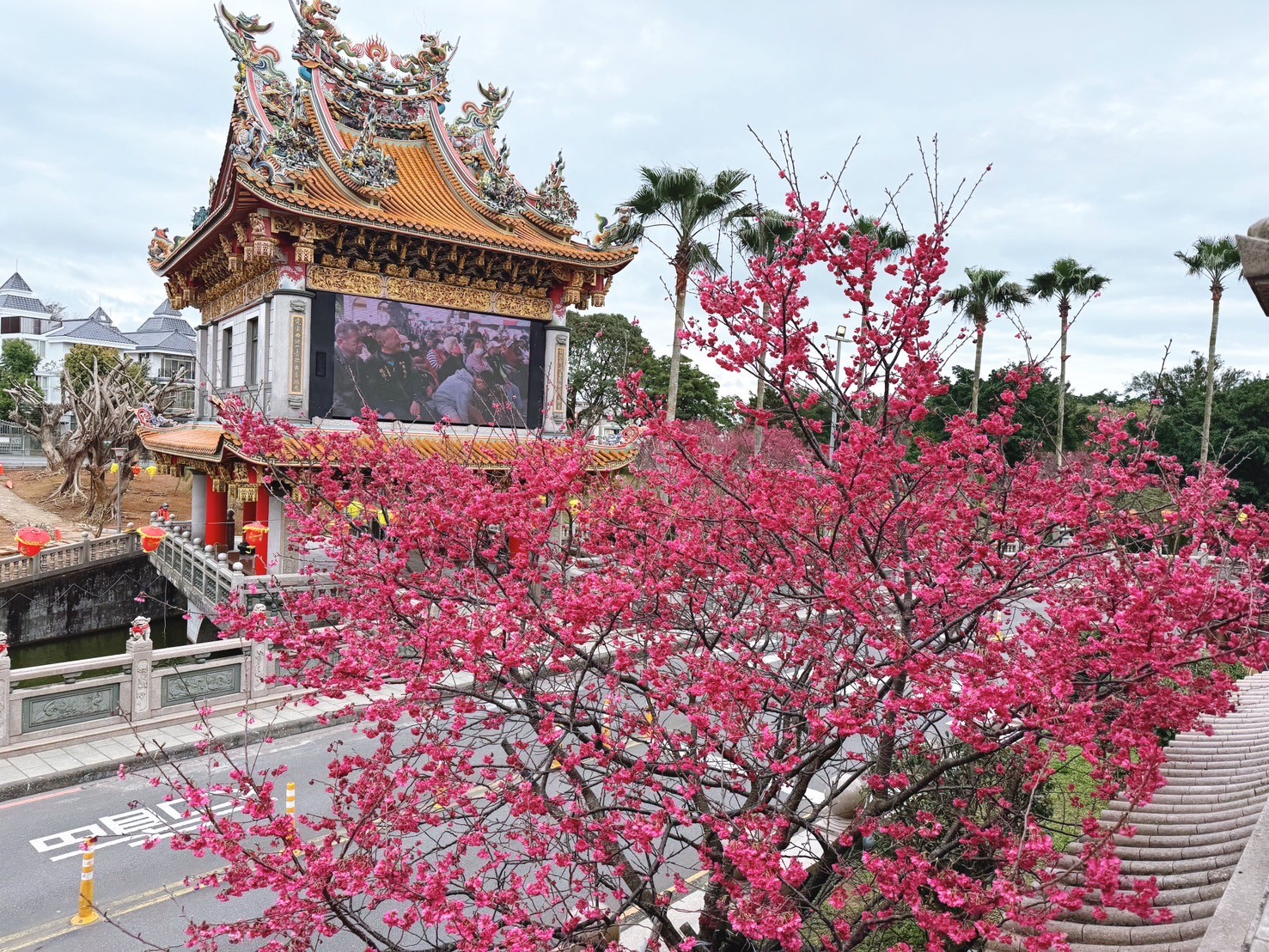 竹林山寺不僅是當地著名的宗教聖地，其四周種植的櫻花更是春季不可錯過的賞花景點
