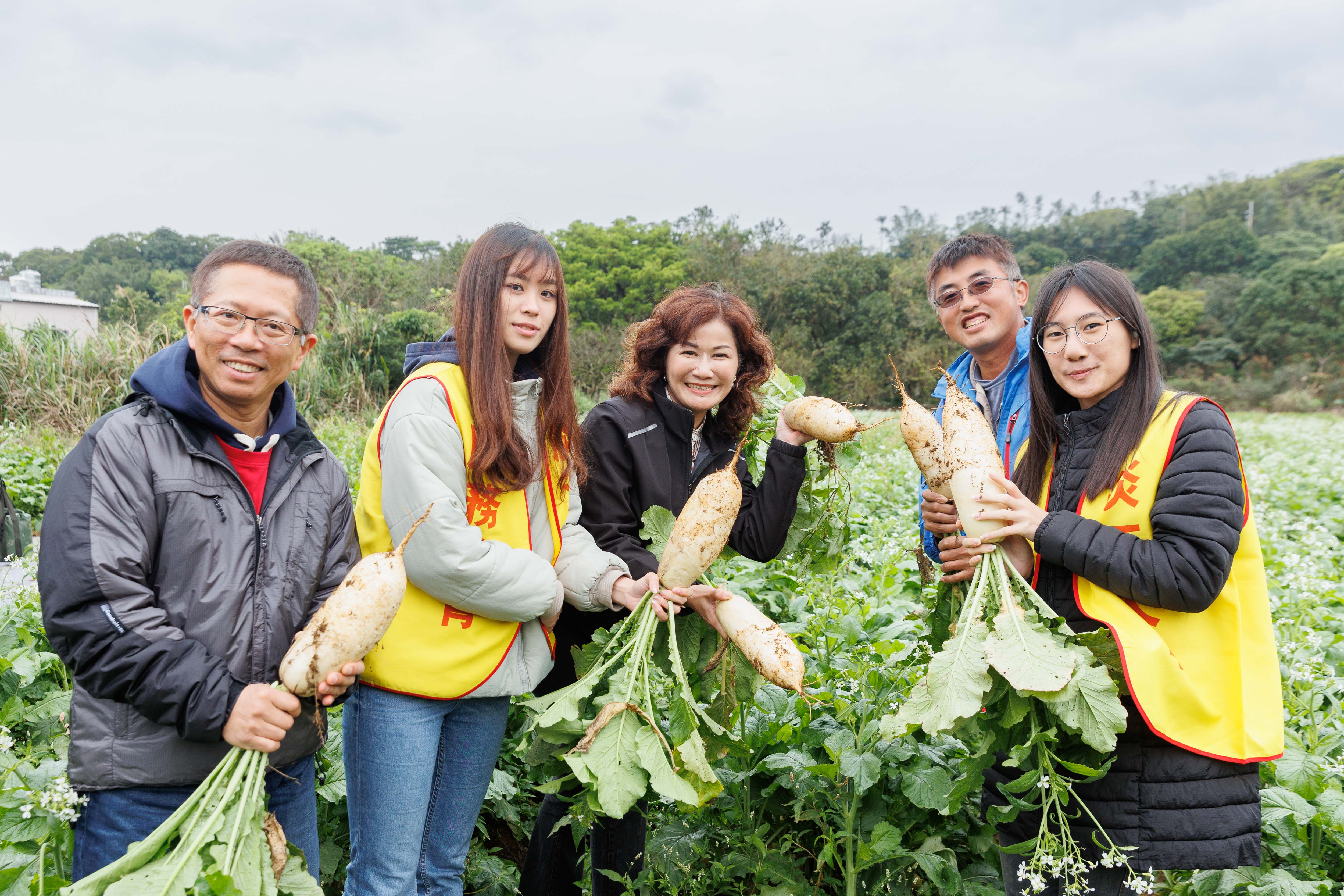 活動規劃拔蘿蔔食農教育(圖為去年農事體驗照片)