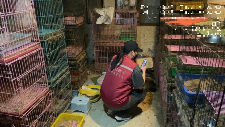 嫌犯家仍飼養大量貓隻
