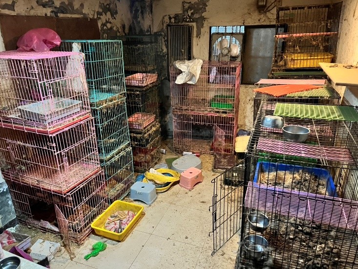 飼養環境髒亂
