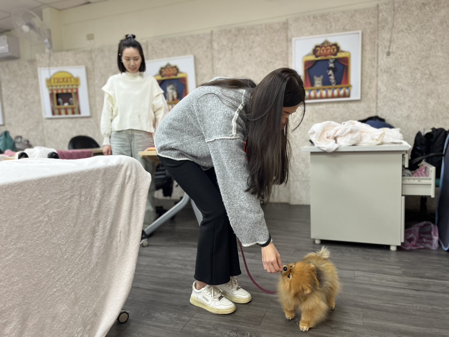訓犬師在狗狗達到正確指令後給予零食獎勵