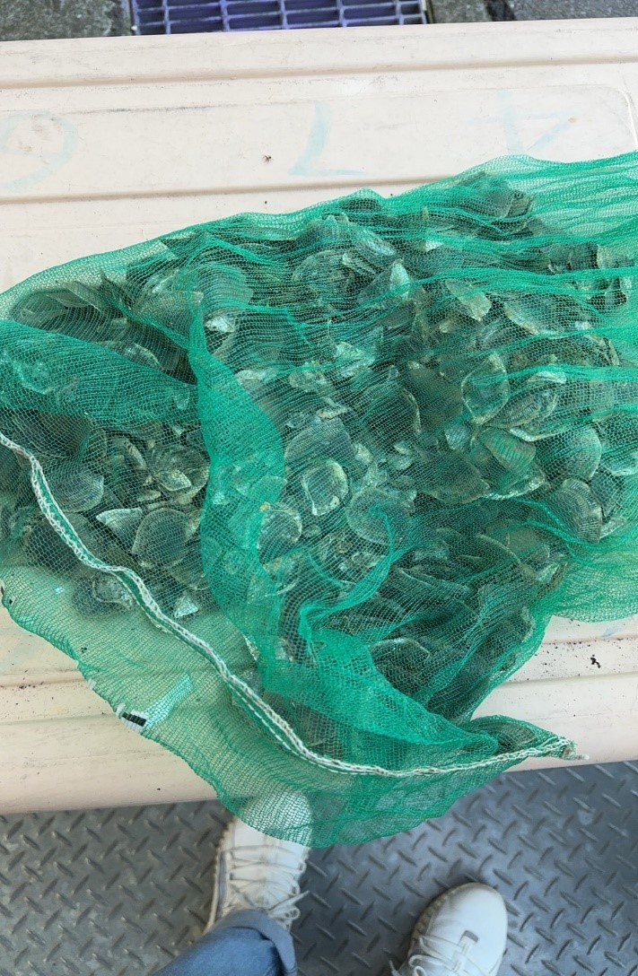 大量穿山甲鱗片