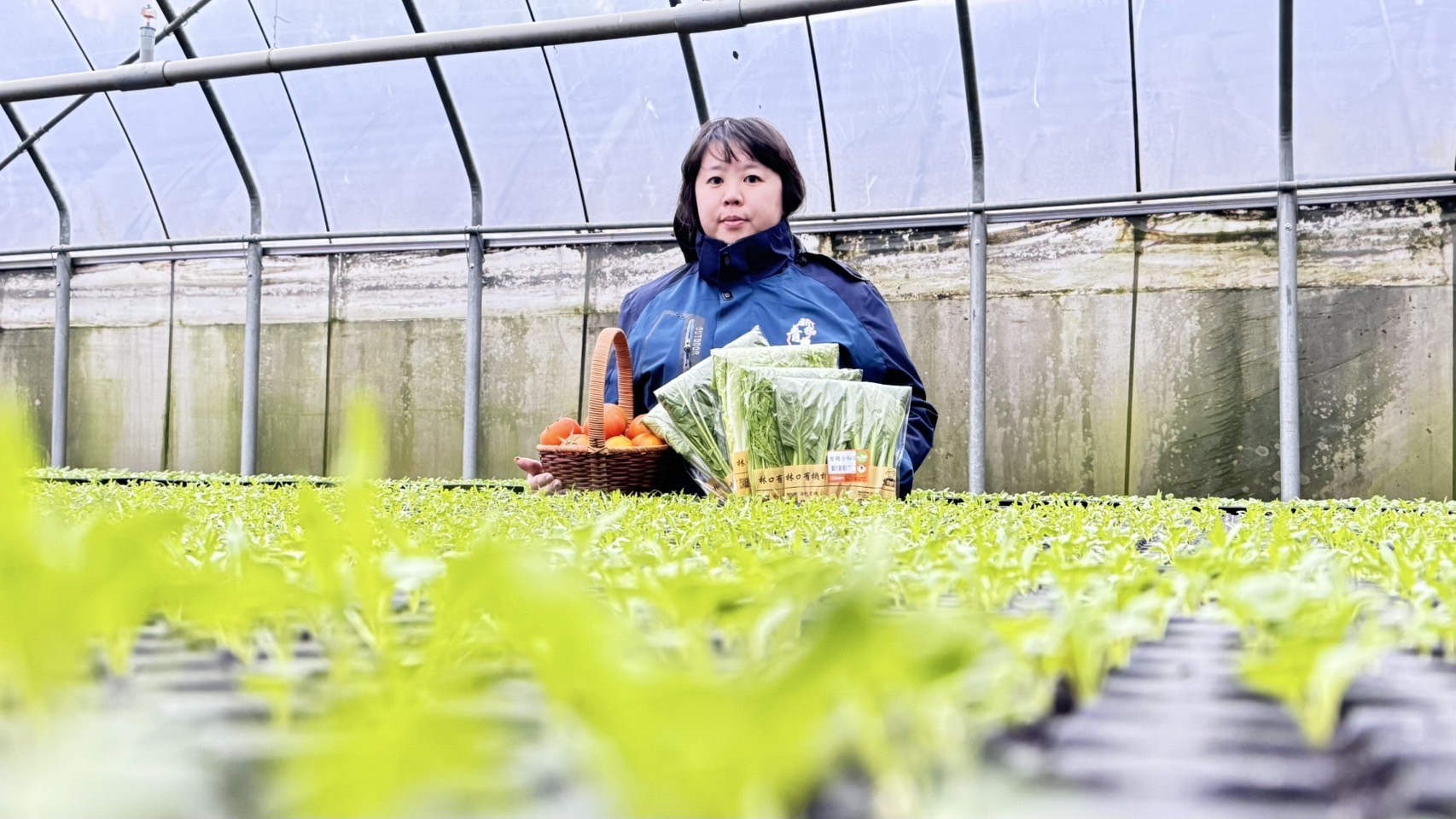 林芷誼將父母的語林有機農場作為食農教育場域