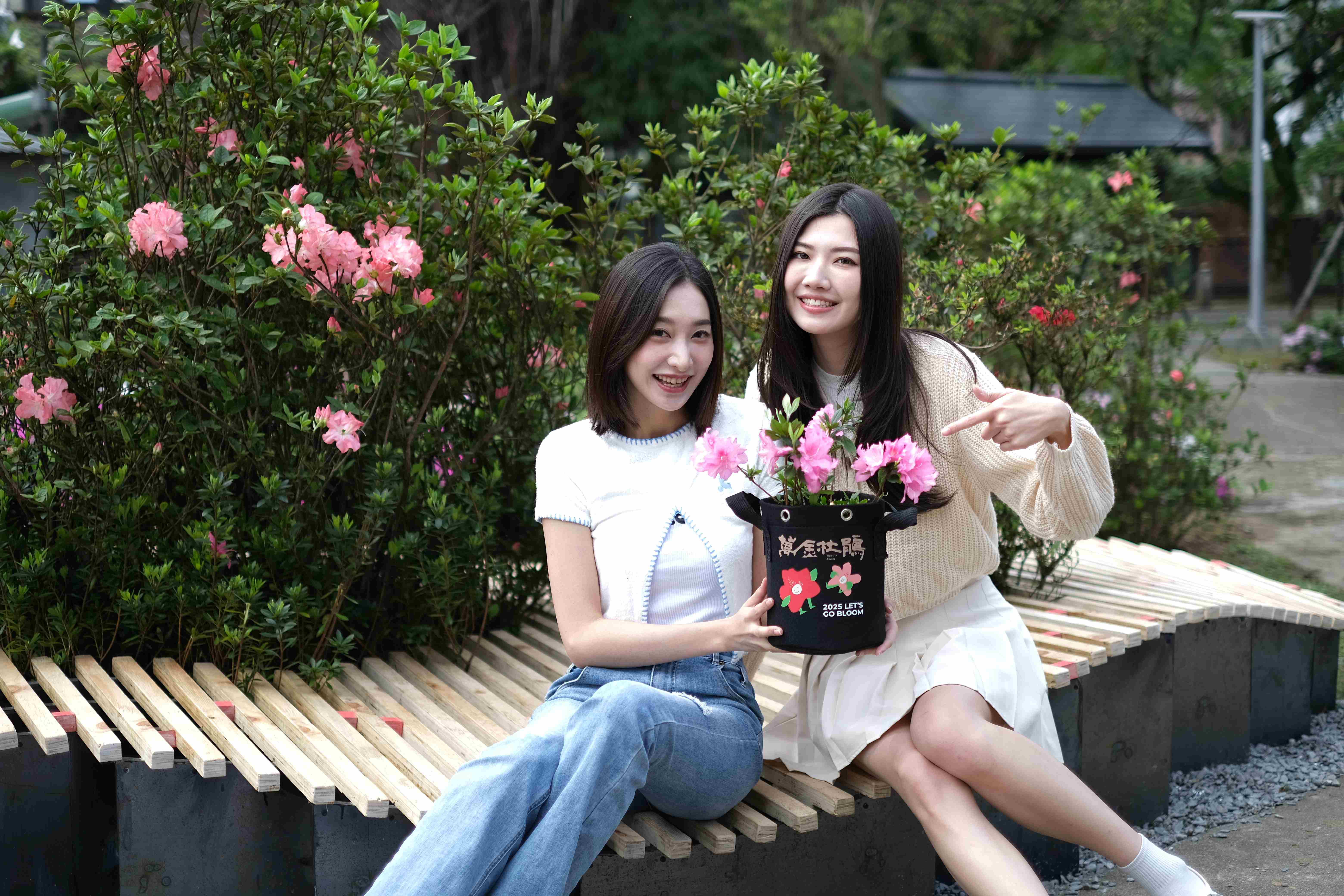 板橋花市消費打卡送萬金杜鵑