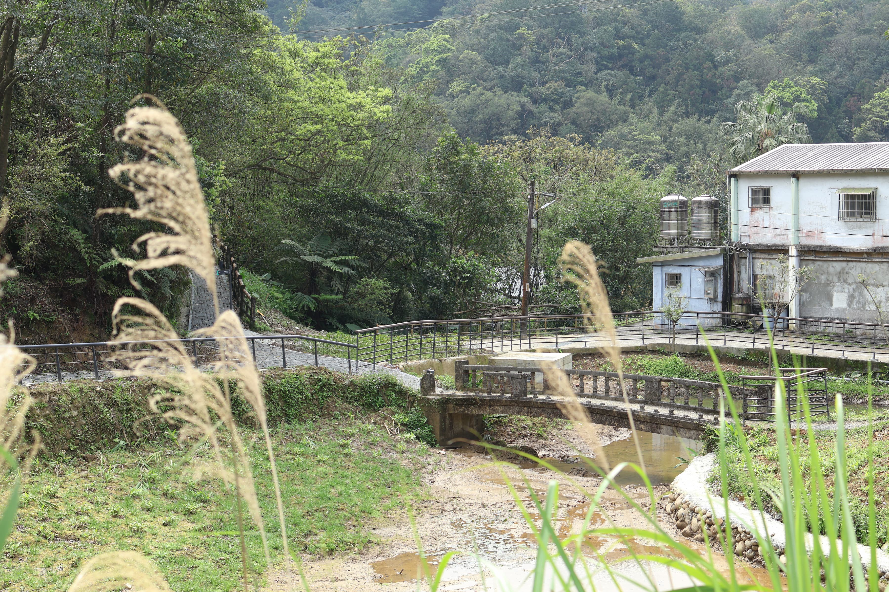 為重現螢火蟲棲地，利用既有低窪池體自然水塘，提供動植物棲息與生長空間，在水塘與排水路徑種植高地錯落適生的植栽綠化