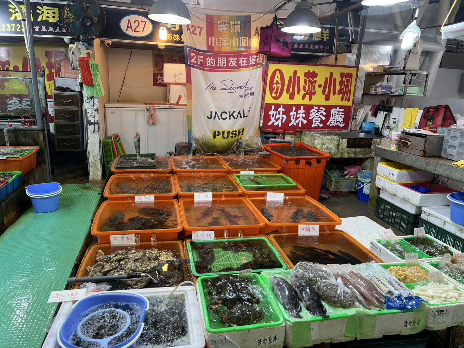 富基魚市販售新鮮活花枝 (2)