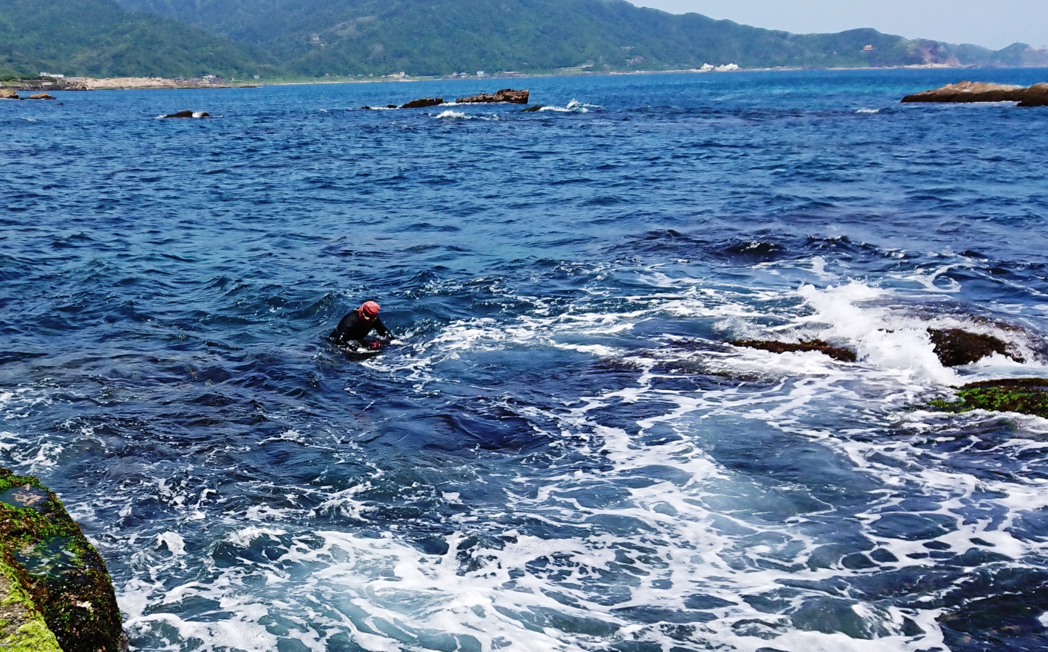 海女婆婆不懼海浪的衝擊俯身潛入海中摘採老天爺賞賜的海中珍品-新北石花菜