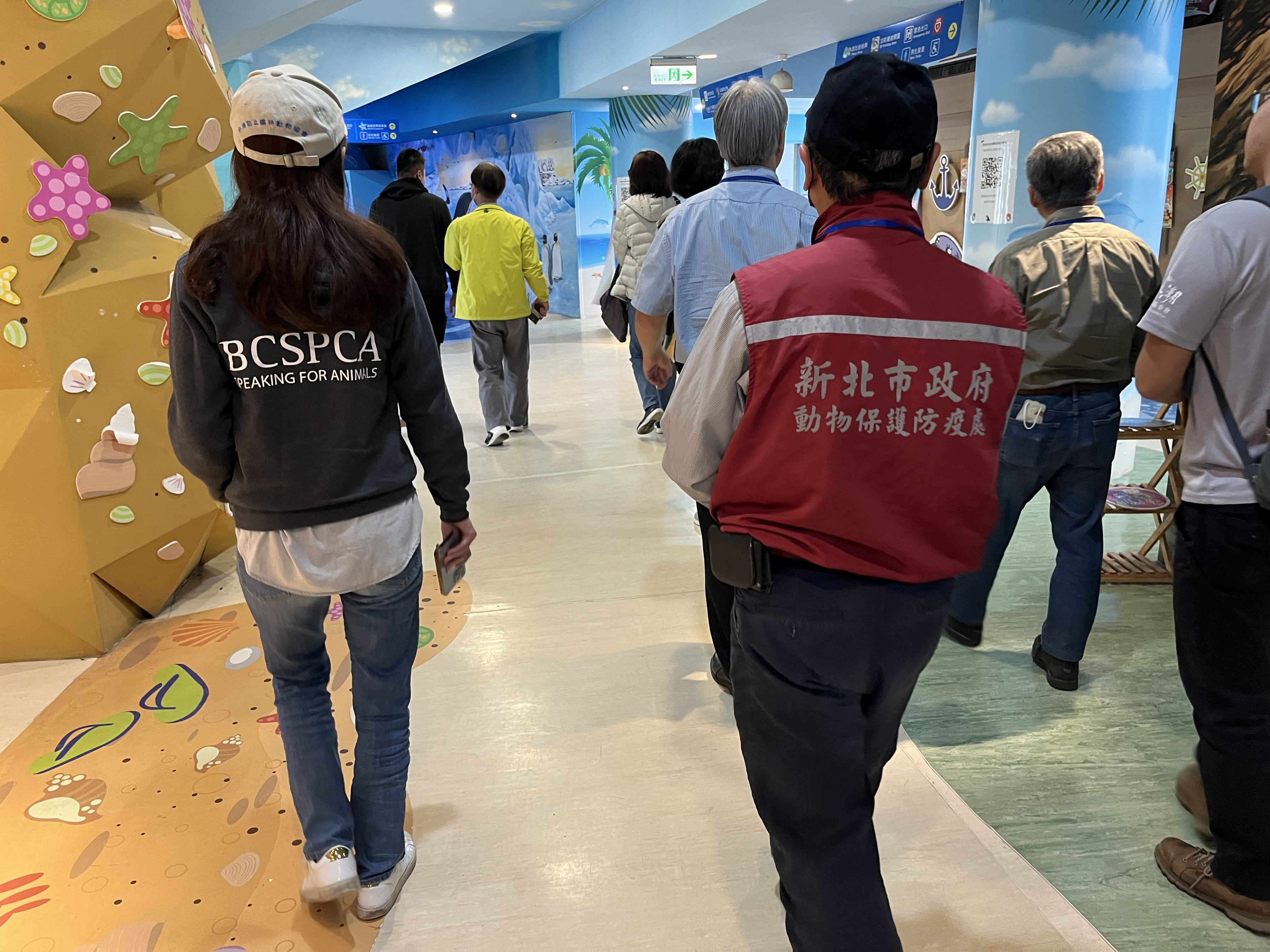  海洋保育類鯨豚展演輔導小組輔導。