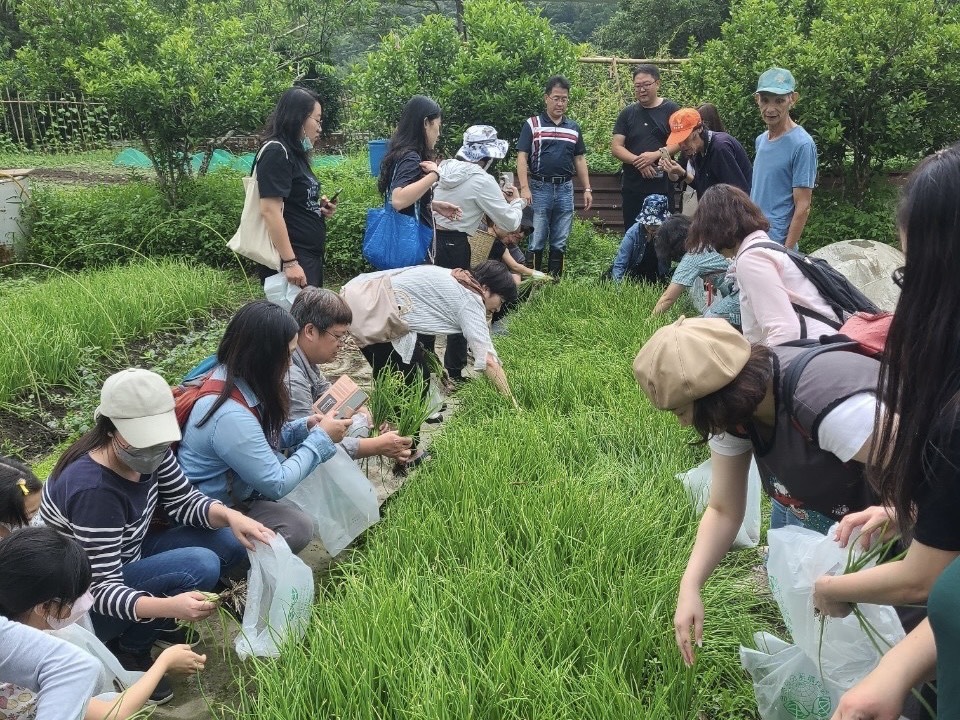 今年推出蔥啟回憶小旅行，帶領遊客親採翠綠珠蔥