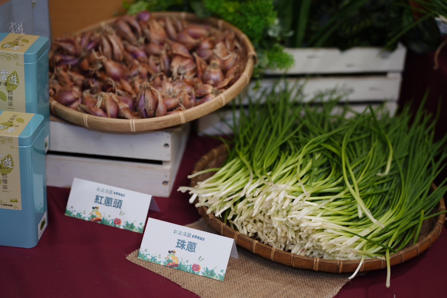 新北珠蔥產季到，邀請民眾到產區品味珠蔥的鮮甜