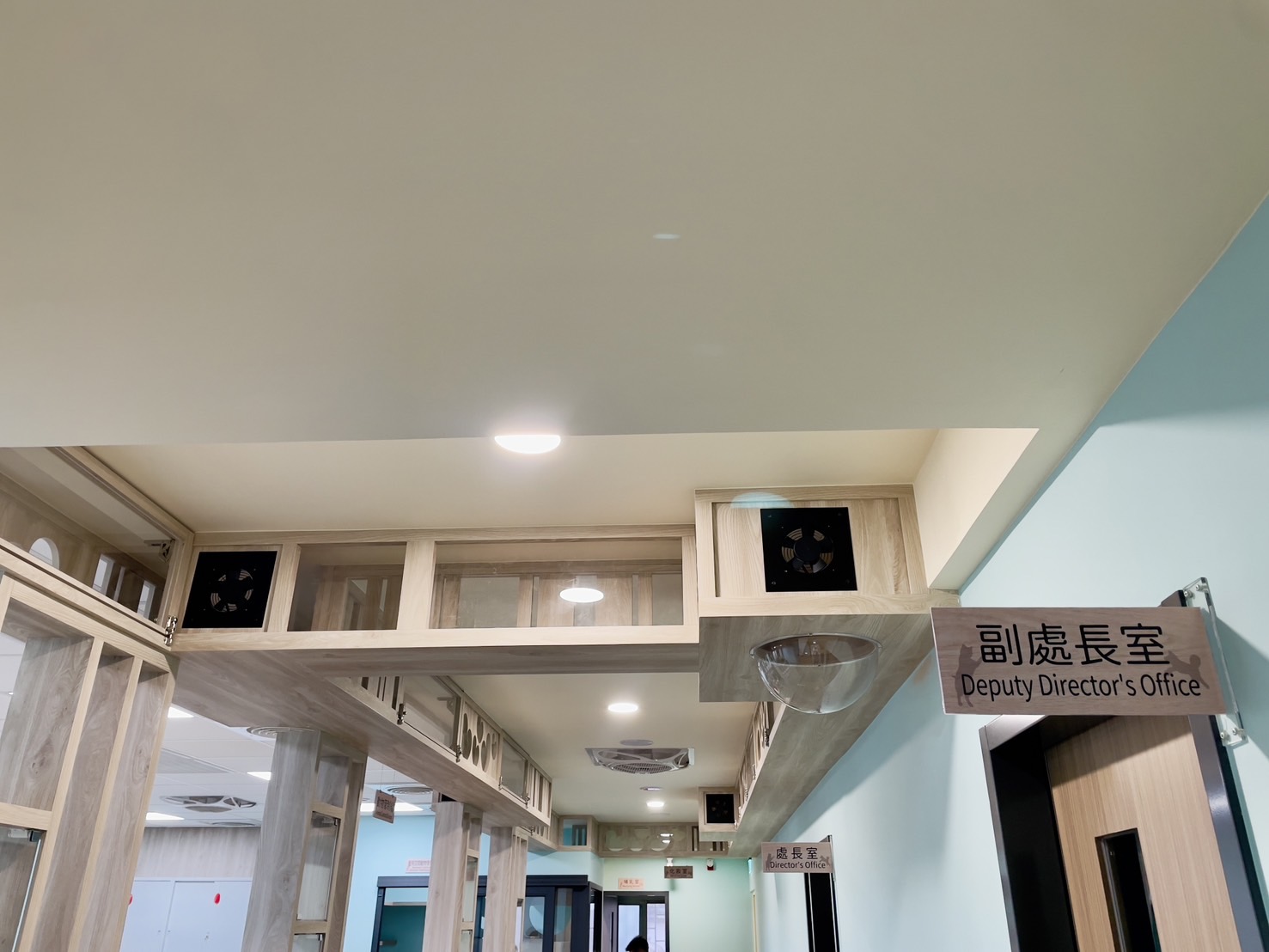  貓咪專用天空廊道。