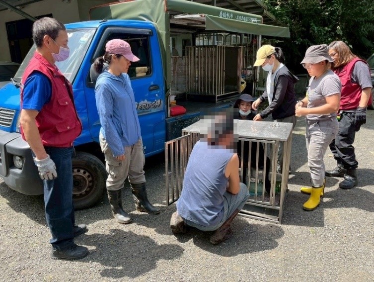 協會協助未絕育母犬以運輸籠運下山絕育