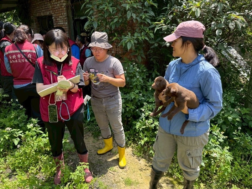 協會協助現場查獲離乳幼犬