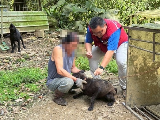 動保處人員現場為犬隻植入晶片