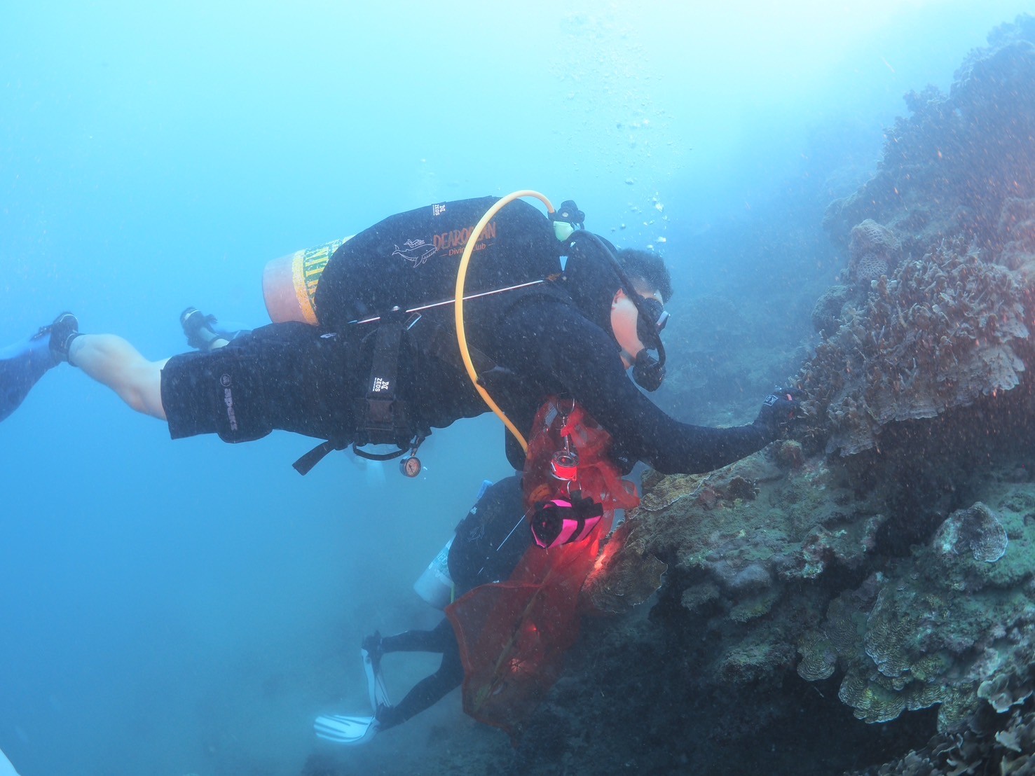  新北市潛海戰將協助清除海洋廢棄物
