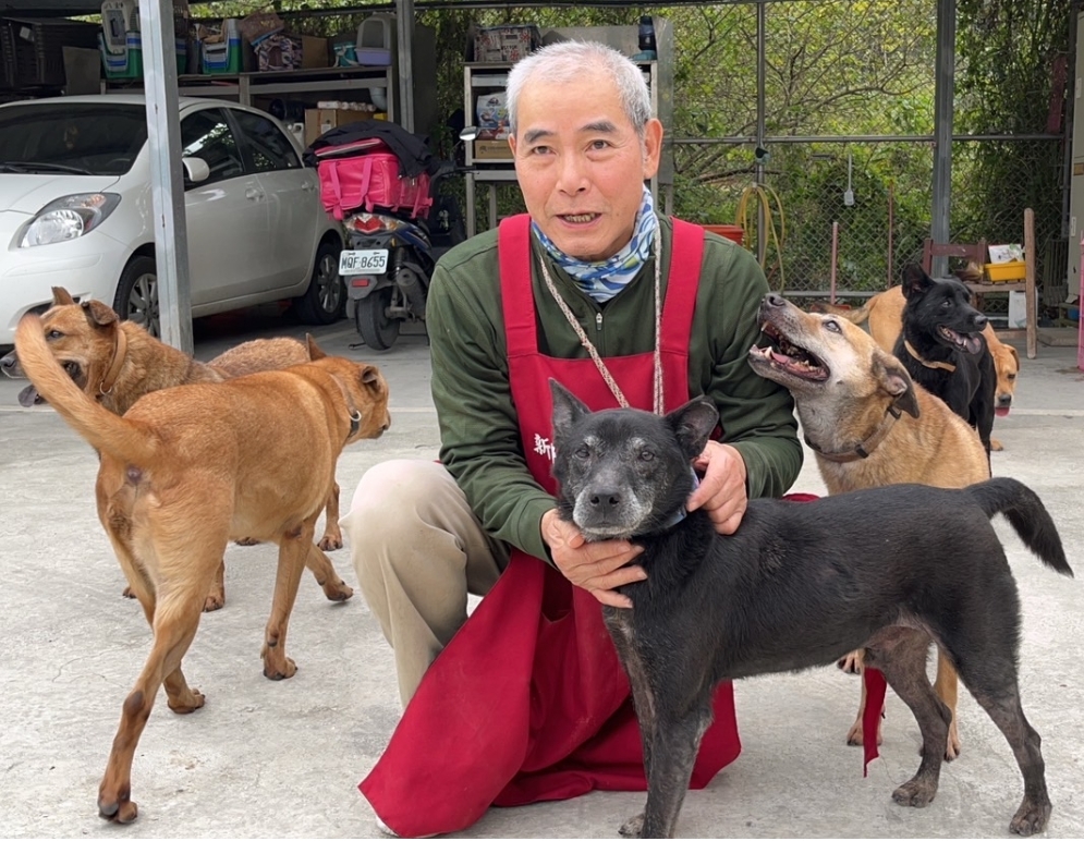  圖3、「小草」也是志工的最愛