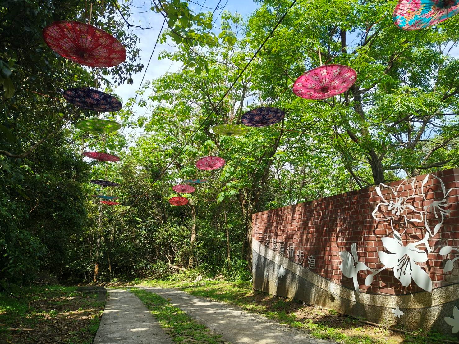 三芝區賞桐步道
