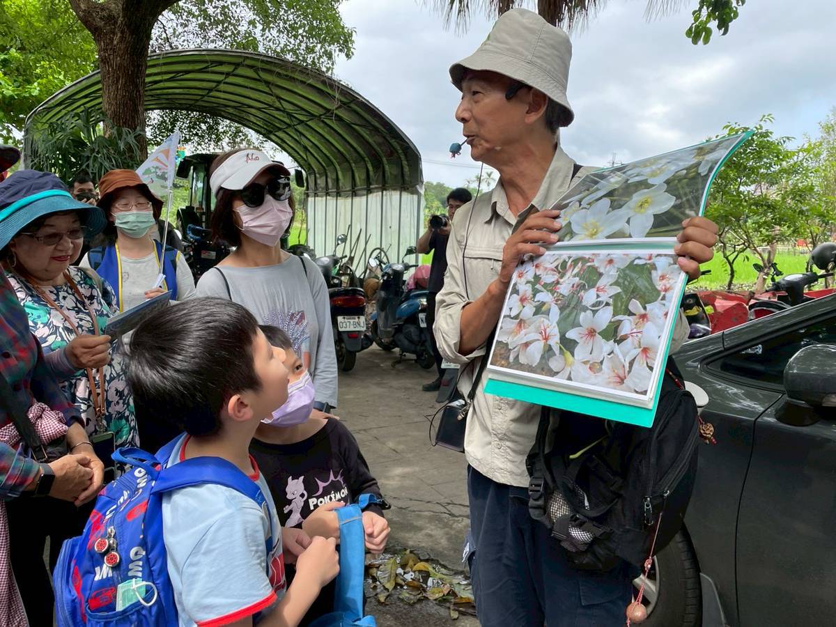 導覽老師介紹桐花
