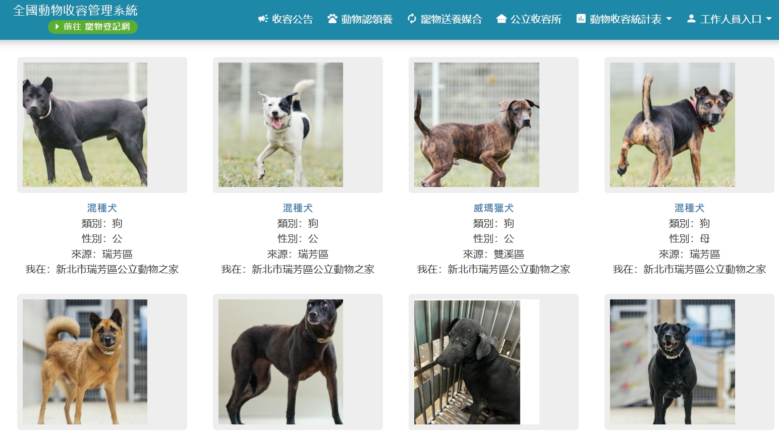  民眾可至寵物登記管理資訊網的全國動物收容管理系統即可查詢瑞芳動物之家的犬貓資訊。