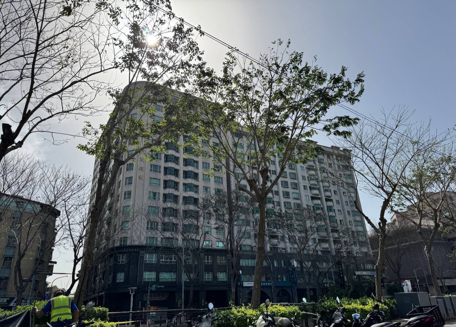  新莊中港大排人行道路樹已完成減災修剪 