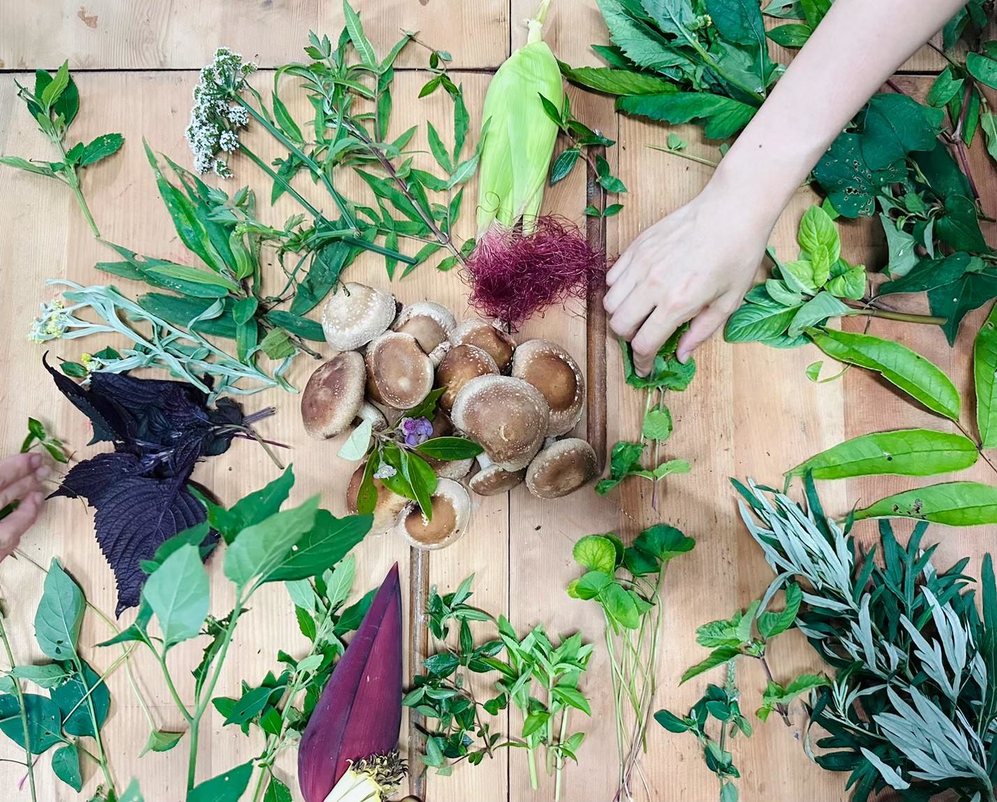 5月24日在樹林山佳體驗山林與味蕾的結合，創作出屬於自己的家山料理。