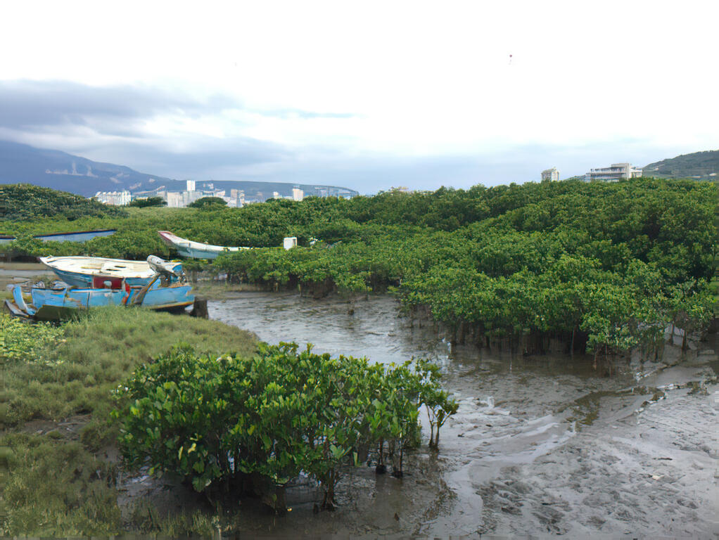 挖子尾生態保護區 (照片來源:新北市觀光旅遊網)