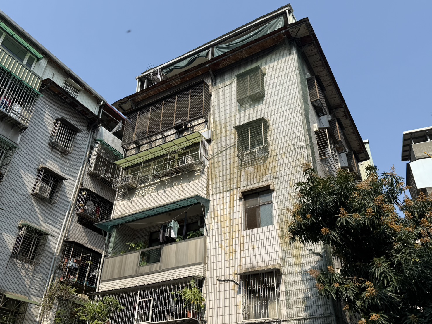 新莊自立段建物外觀圖
