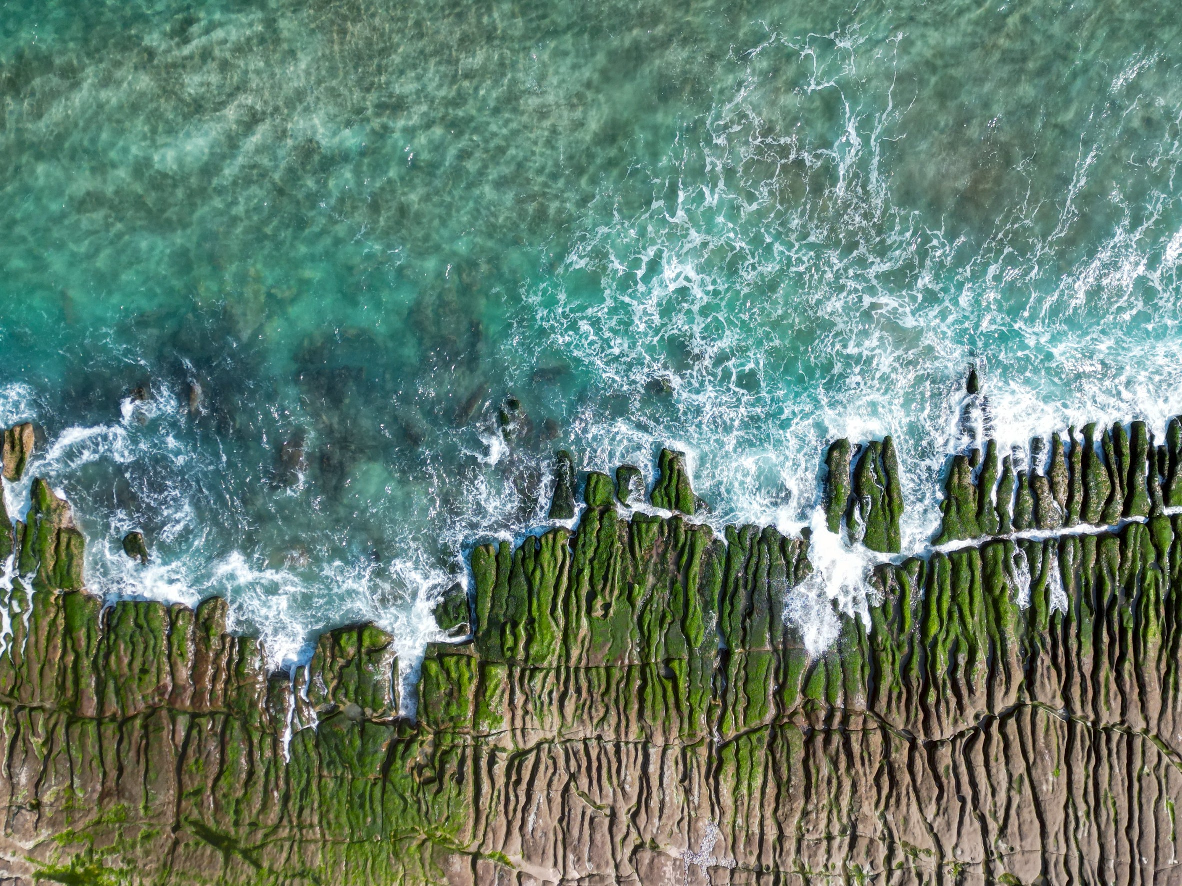季節限定的老梅綠石槽把石門海岸染成鮮綠的春天色彩
