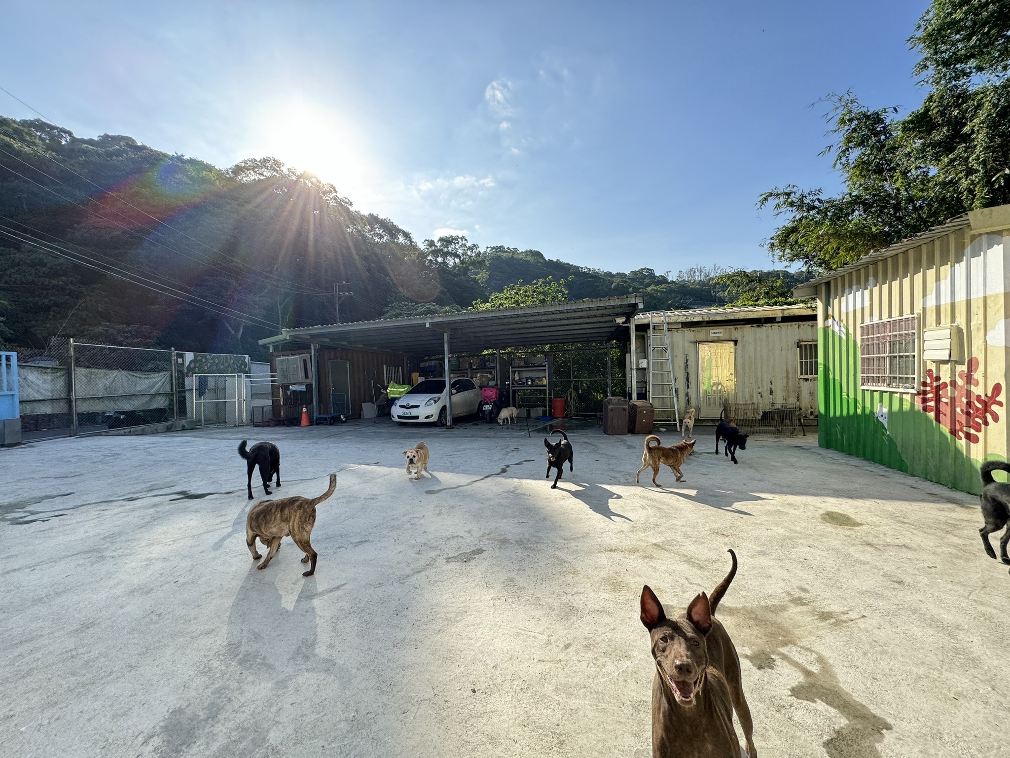 圖五、八里毛寶貝期待與您相遇