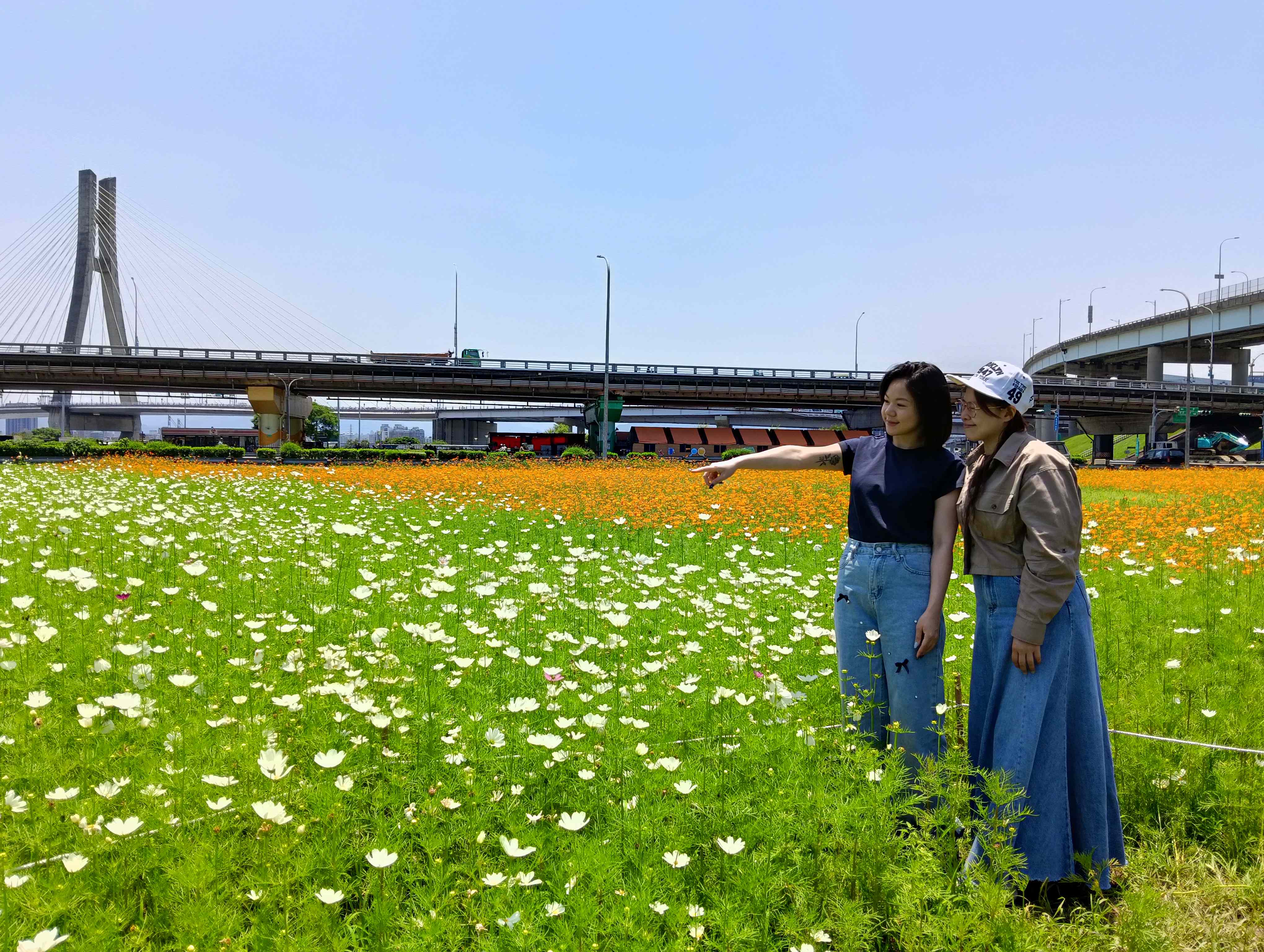  繁花似錦的午後最適合來新北大都會公園走走賞花