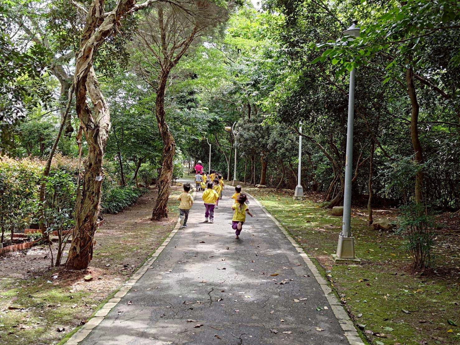 林口區樂活公園公園設計以步道兼自行車道為主軸，強化線型綠化並保留現地原生植物