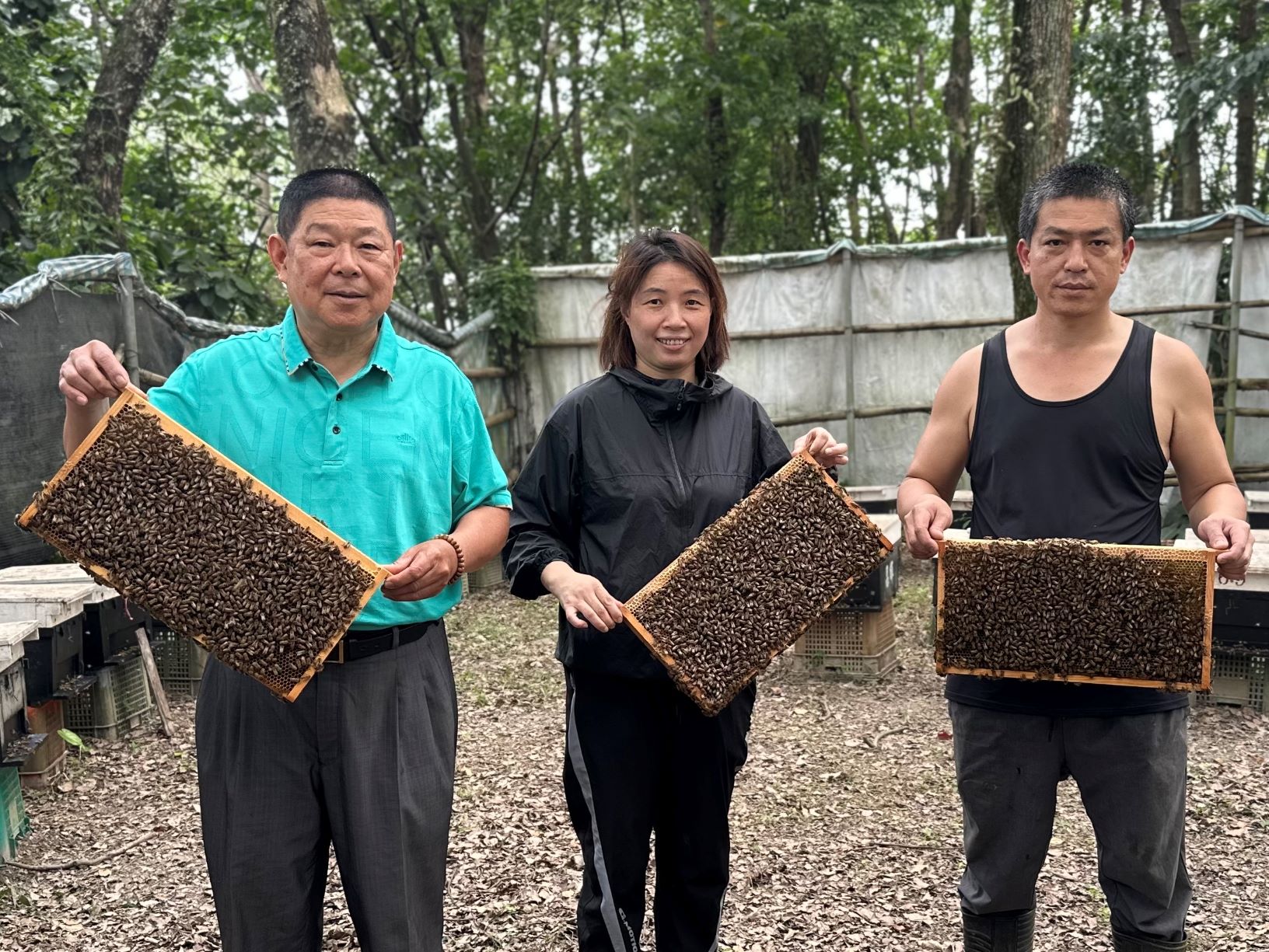 新北市「昌輝養蜂場」至今已傳承四代