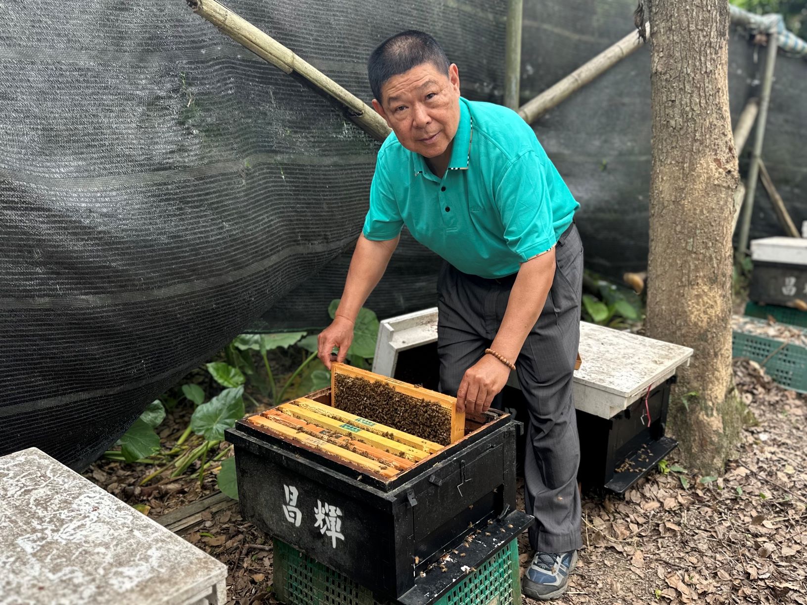 現年70歲的程重讚，自幼便隨著祖父與父親逐花而居，養蜂資歷已逾一甲子。