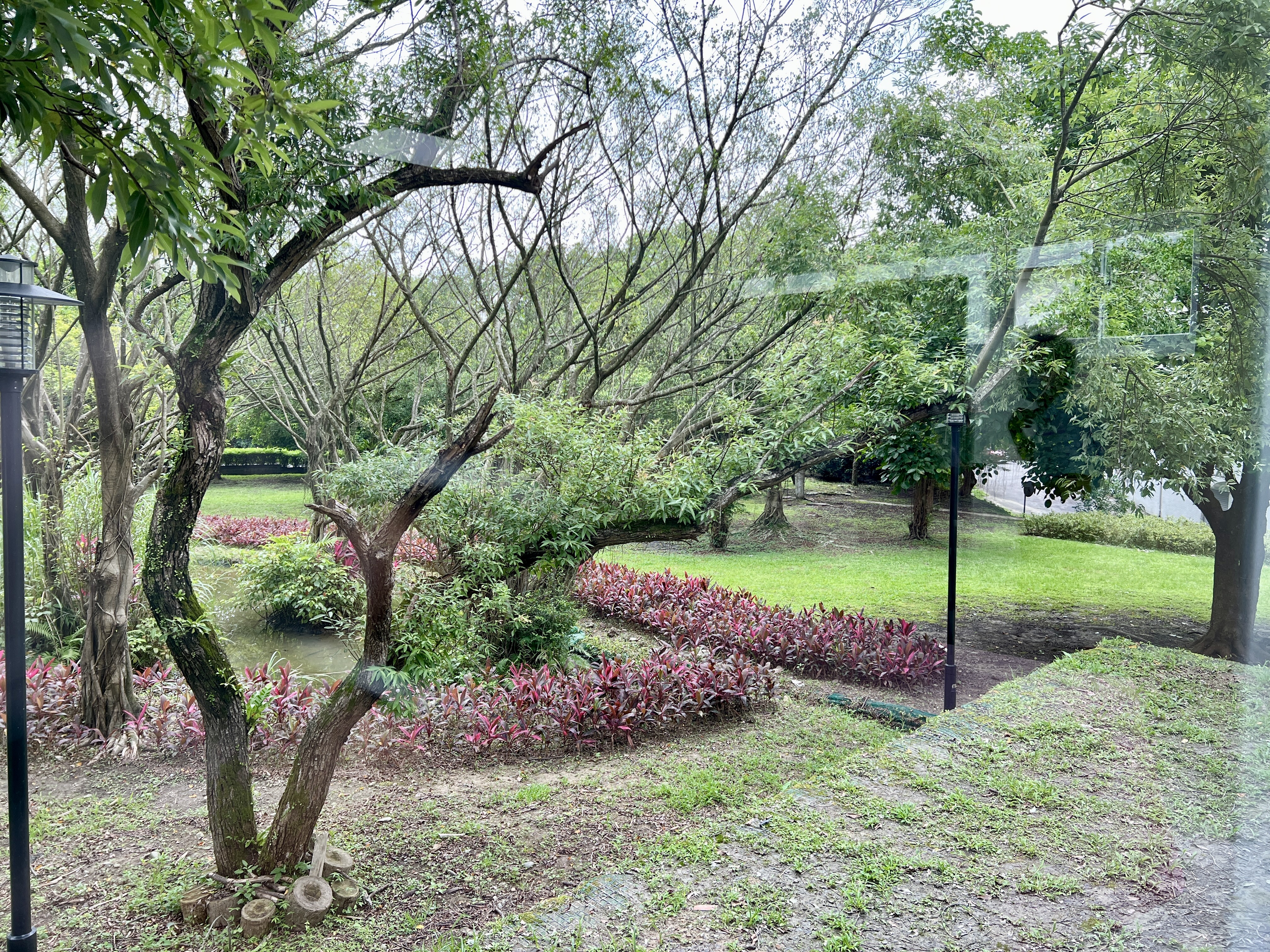 湖興市民活動中心座落於大公雞公園內，周圍綠意盎然，從窗戶看出去的美景相當愜意，堪稱汐止最美活動中心。
